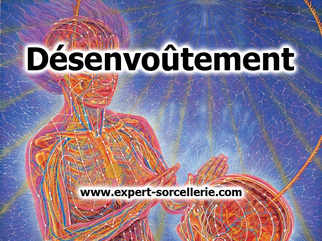 Desenvoutement